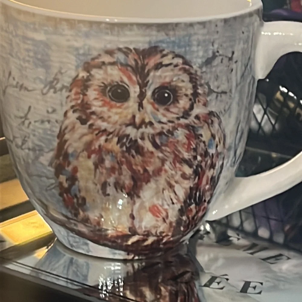 Extra Large Vintage Owl Mug Pier 1 Imports Ironstone Mug